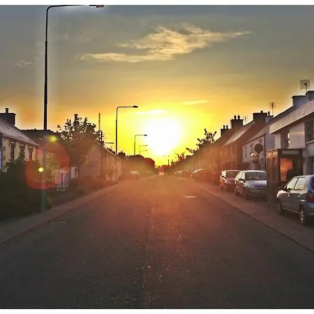 The Old Anchor 安纳斯考尔