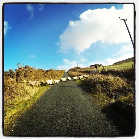 The Old Anchor 安纳斯考尔