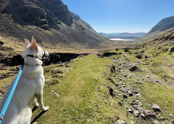 The Old Anchor 3* Anascaul