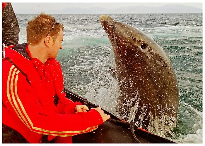 The Old Anchor 3* Anascaul