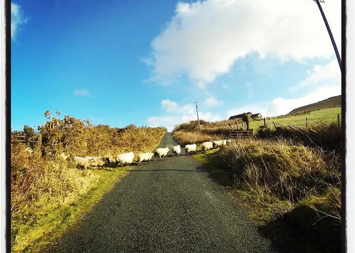 The Old Anchor Anascaul